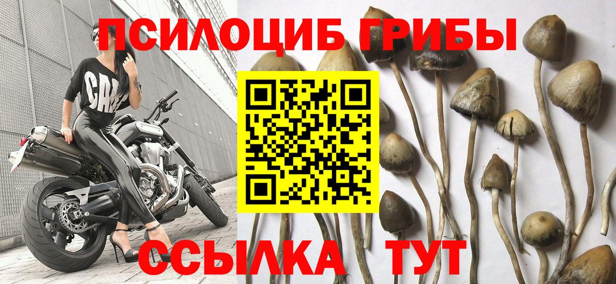 Ефремов  Псилоцибиновые грибы ЛСД  Вход с VPN 